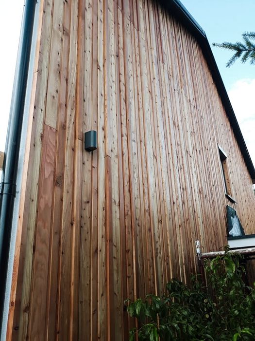 Elewacja  3D modrzew , lamel , deska strugana modrzewiowa