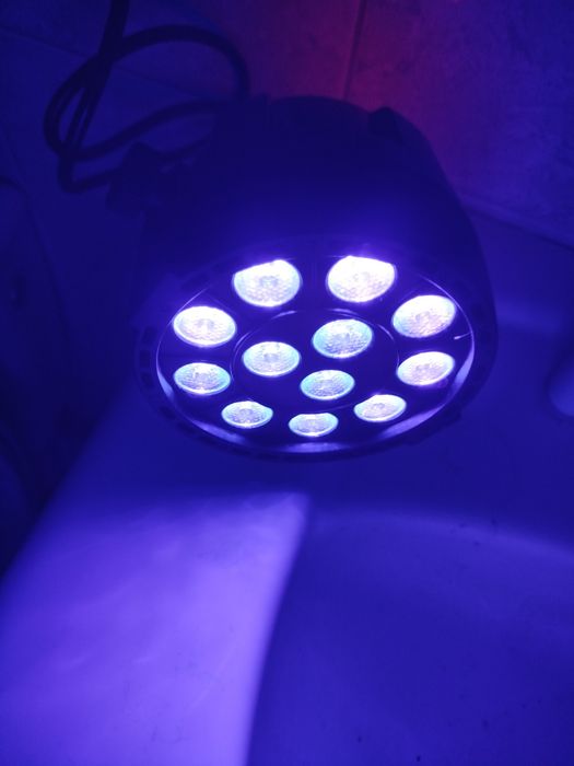 LED Par, światło UV ultrafioletowe Nowy
