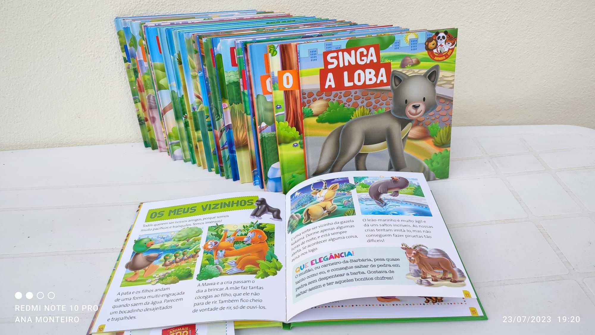 Livros Os meus animais do zoo