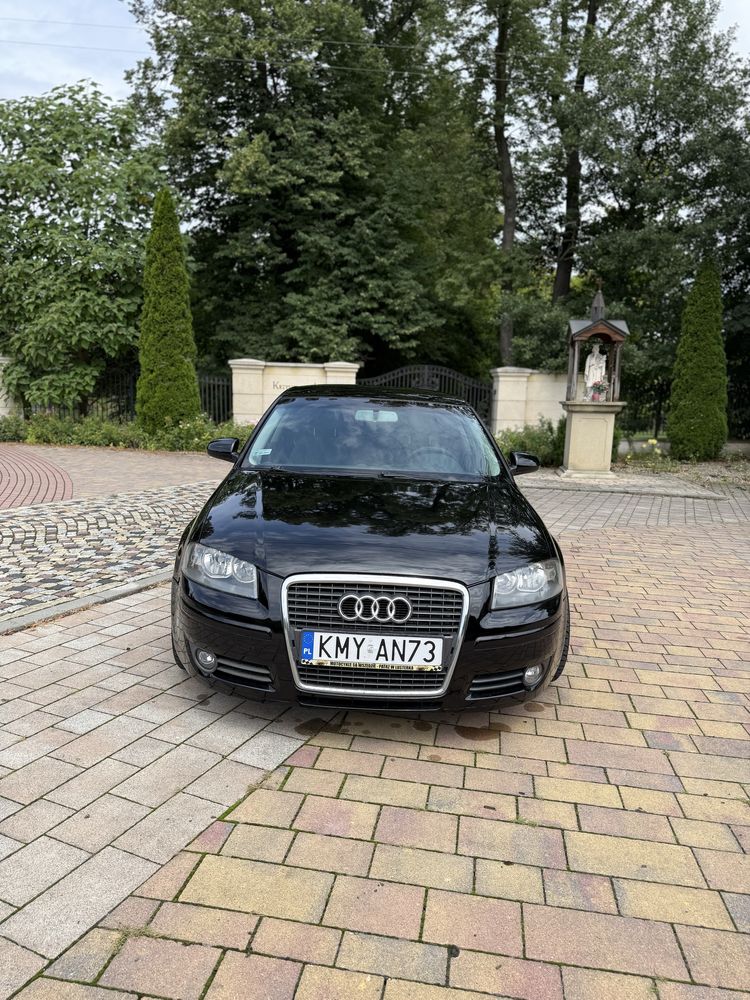 Audi A3 8P 3D 1.9 TDI