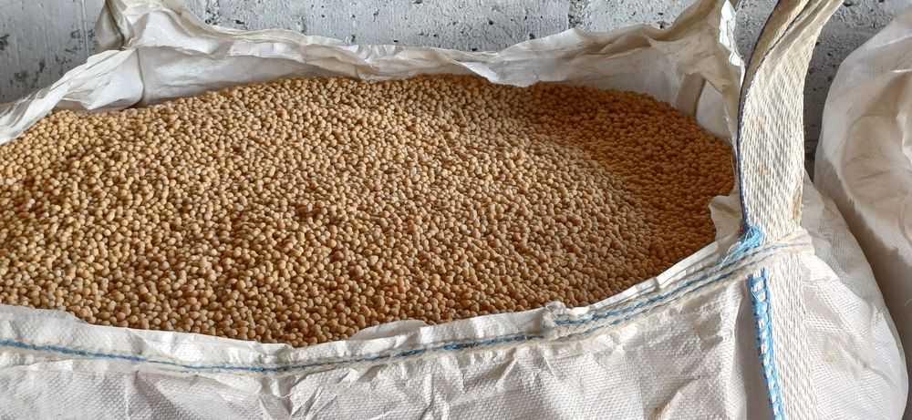 Groch oczyszczony konsumpcyjny