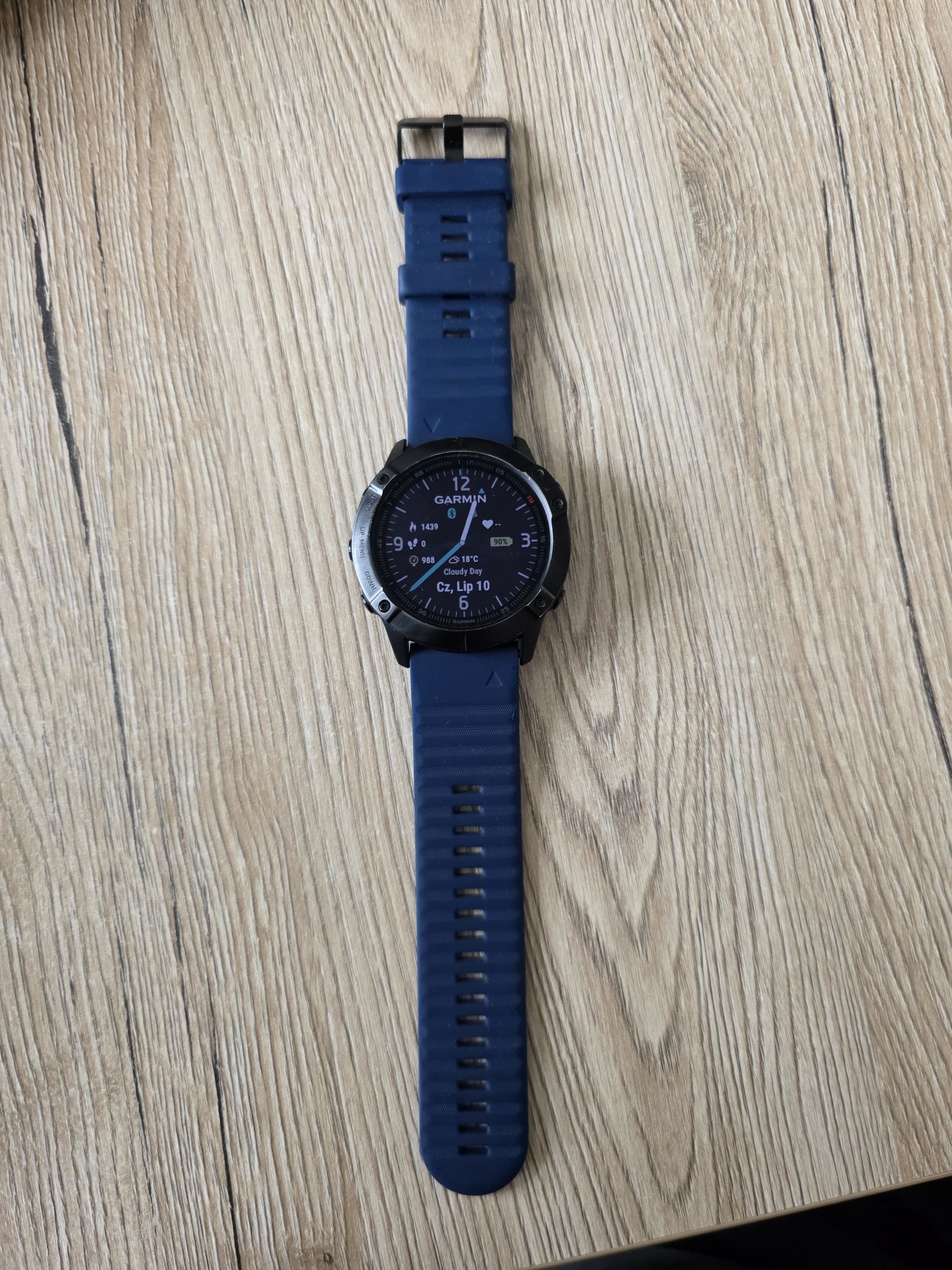 Garmin fenix 6x pro