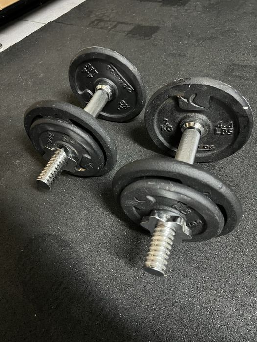 Halteres 16 kg (em bom estado)