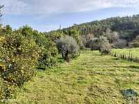 Terreno para construção em Alcobertas de 1280,00 m2