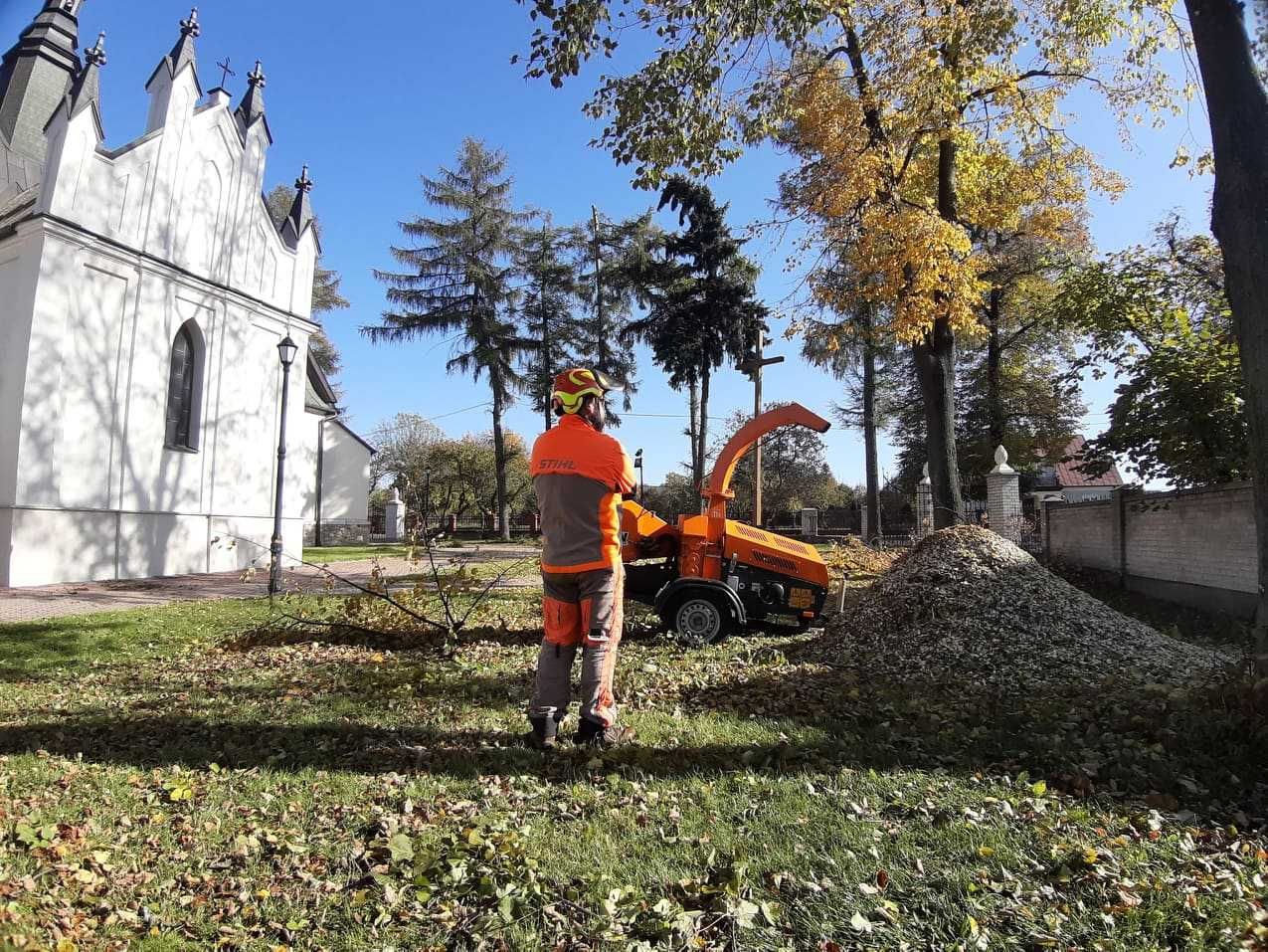 Wycinka drzew oraz pielęgnacja Kielce, usuwanie pni, zrębkowanie