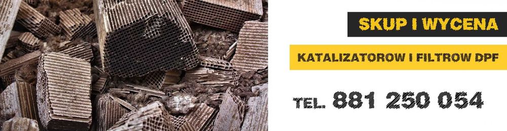Skup katalizatorów Rzeszów podkarpacie najwyższe ceny