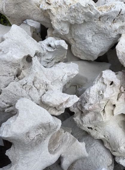 Wapień Filipiński Skałki Minerały do Akwarium Terrarium Dekoracja