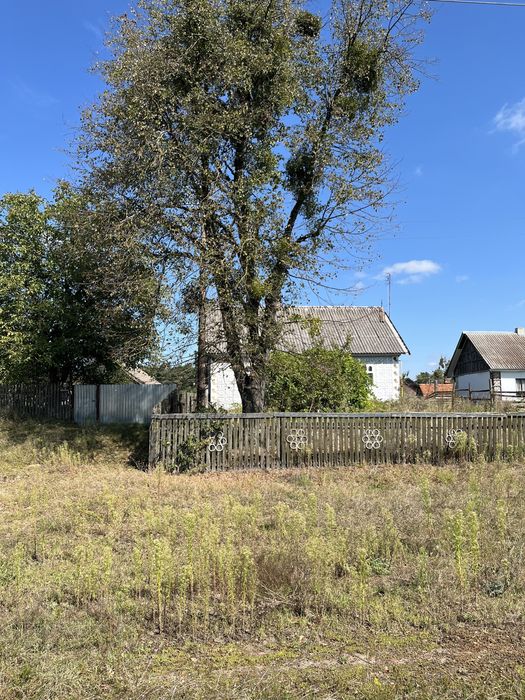 Будинок у селі Цвітоха,заг.площа (25 сотих)