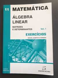 Álgebra Linear - Volume 1