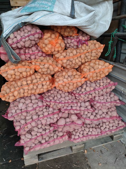 Ziemniaki drobne, odpady