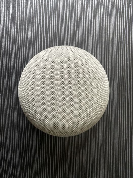 Google Nest Mini