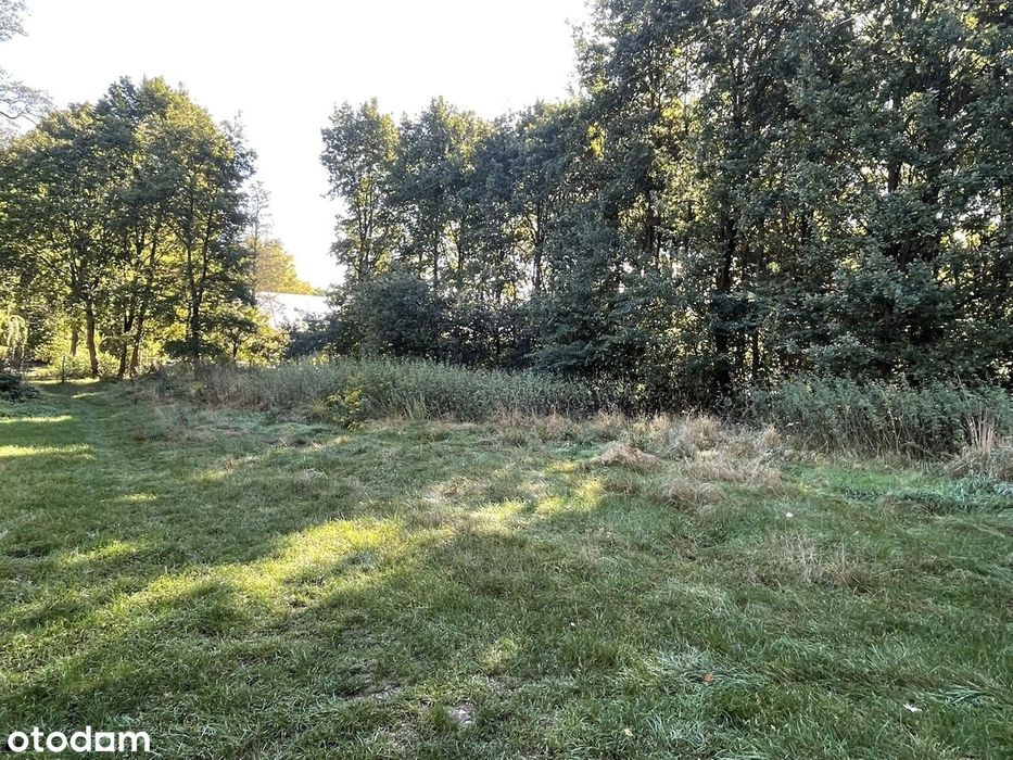 Działka 2700 m² w spokojnej okolicy z mediami