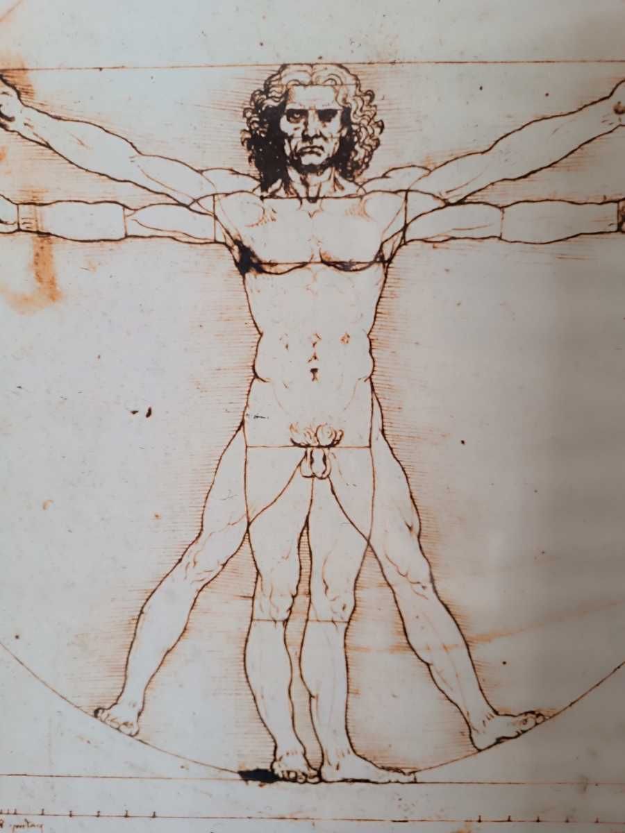 Quadro "O Homem Vitruviano" de Leonardo Da Vinci