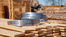 Пила до ленточної пилорами Wood-Mizer по дереву