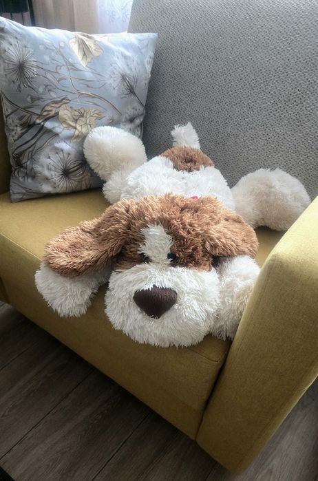 Sorzedam pluszowwgo pieska