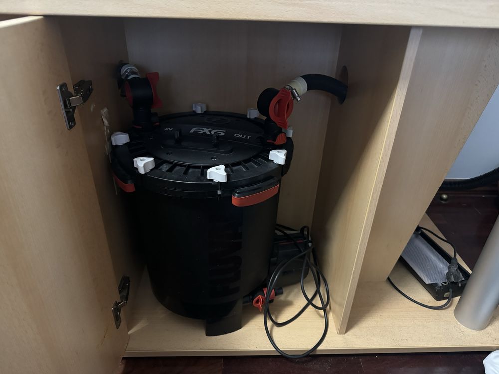 Aquario 600L prefeito para criação