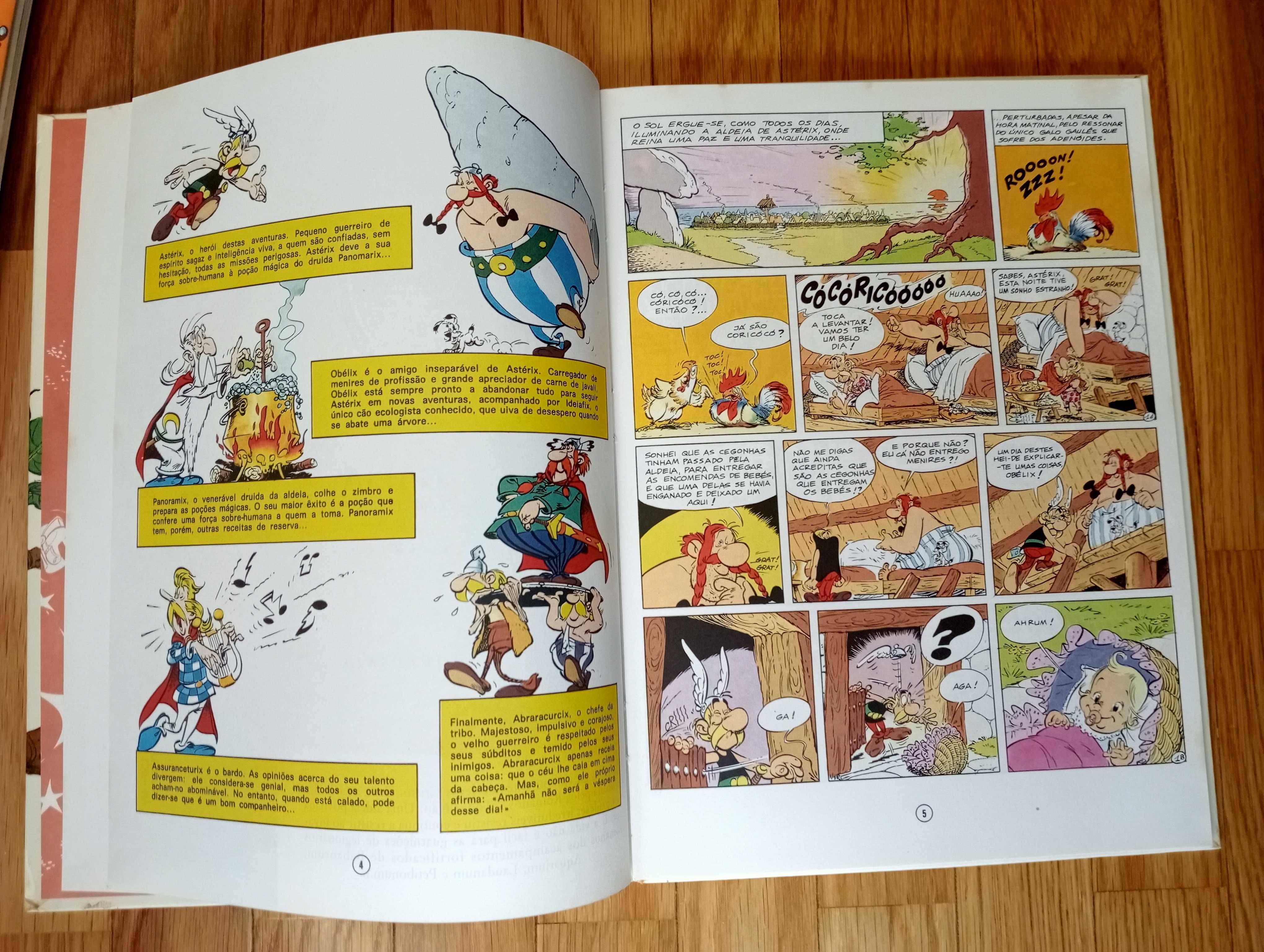 Livro - O Filho de Astérix