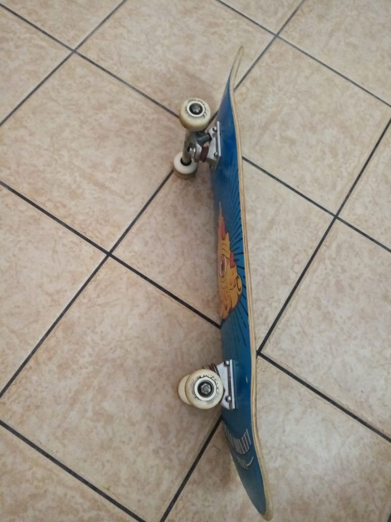 Skate novo      .