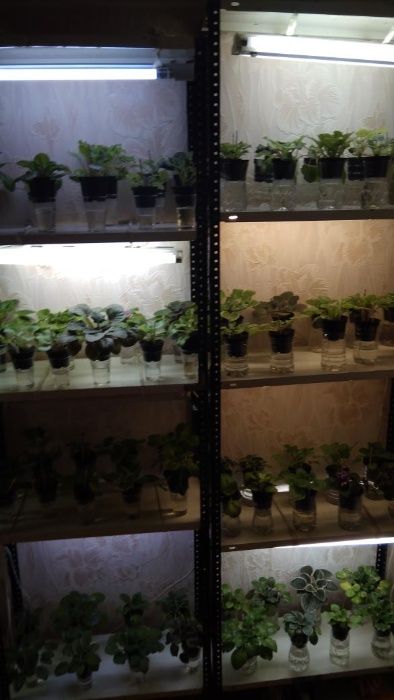 Стелаж розборний металевий під квіти для дома, на балкон в теплицю