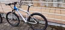Bicicleta Focus Black Forest