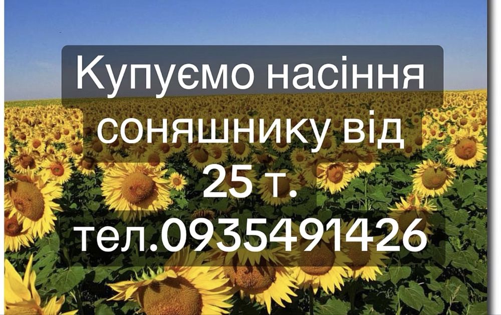 Купуємо насіння соняшнику від 25 тон. Олійність 48+