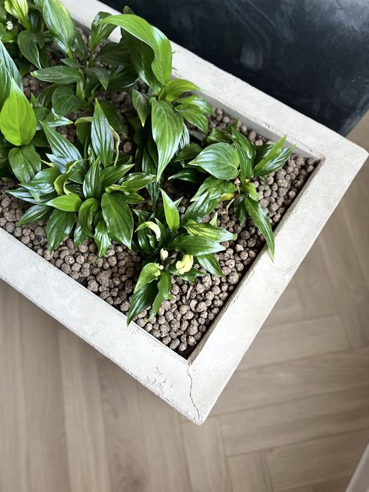 Doniczka donica betonowa duża kwietnik beton architektoniczny