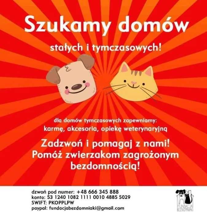 Zostań domem tymczasowym!