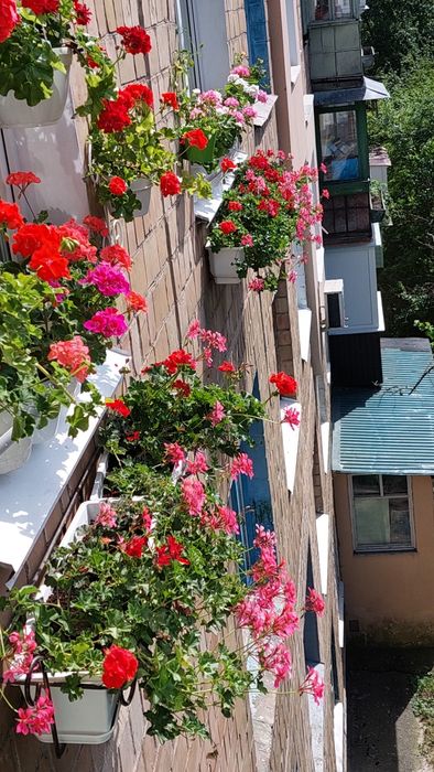 Сдам комнату в 2- х комнатной квартире с хозяйкой с предоплатой 10 мес