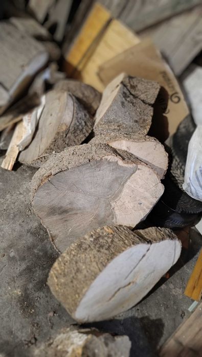 Plaster drewna, jesion, drewno 10szt