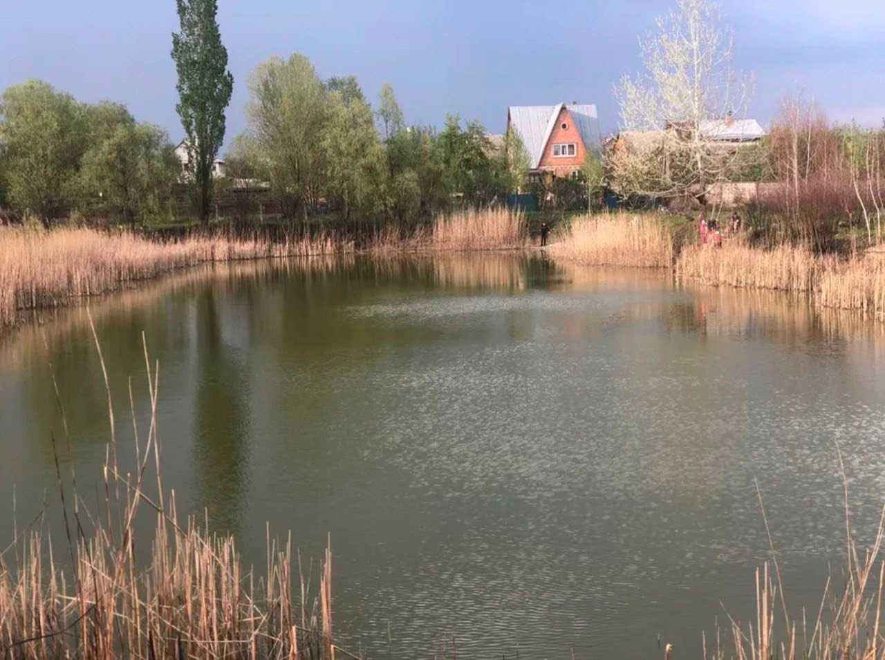 Ділянка 95 соток зі своїм озером в Бориспільському районі