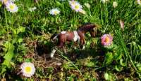 Model Schleich źrebak Trakeński