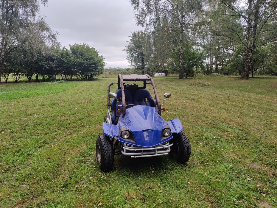 Buggy 250 anglik