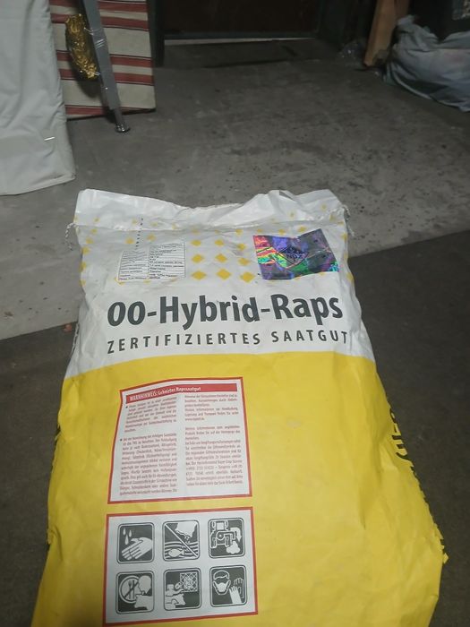 Продам рапс посівний