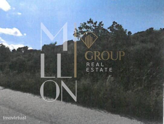 Terreno Rochoso-  1238