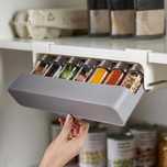 Organizador Especiarias & Temperos