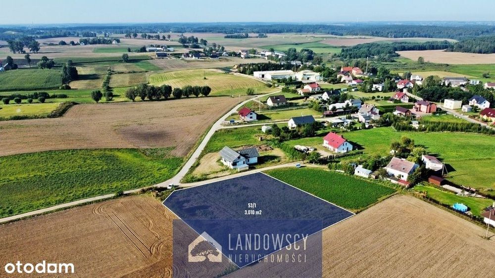 Siedlisko na skraju wsi pod miastem