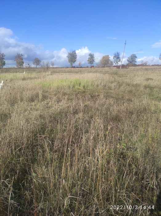 Продам земельну ділянку площею 15 соток в смт Вільшани