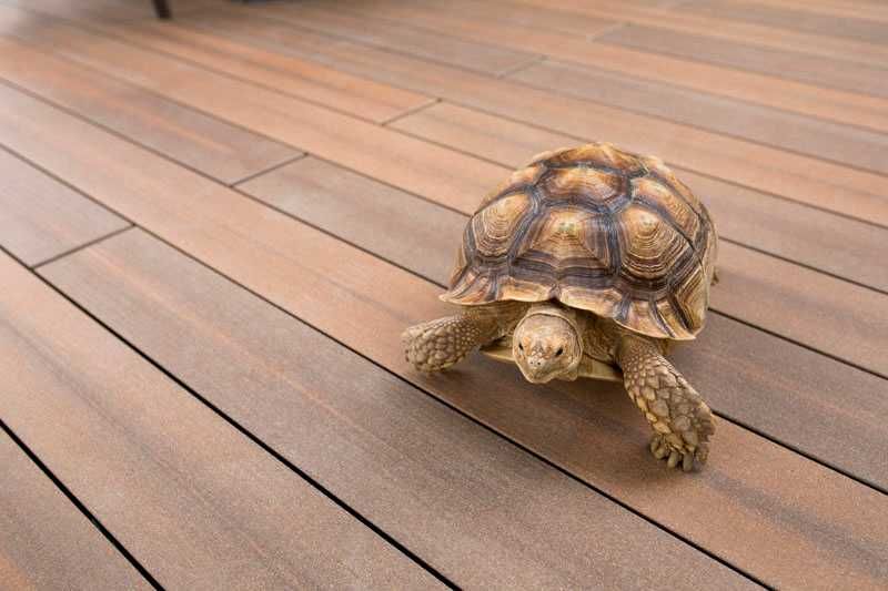 Deski kompozytowe Torro Timber, tarasy.