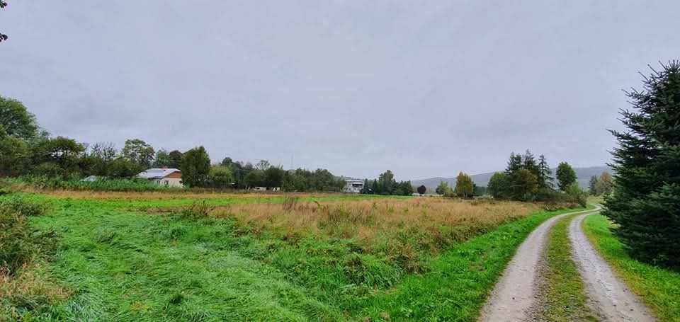 Działka budowlano-zagrodowa 28 ar - Iwla gmina Dukla