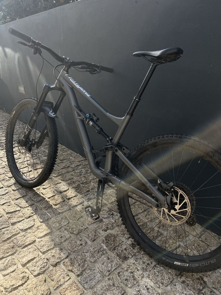 Specialized Status 160 S4
