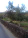 Terreno Ponte lima- Anais 3!km Saida A3