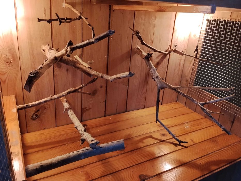 Regał Woliera dla kanarków