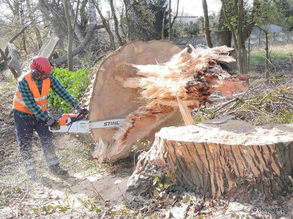 Podnośnik koszowy na gąsienicach, wynajem podnośnika, alpiniści