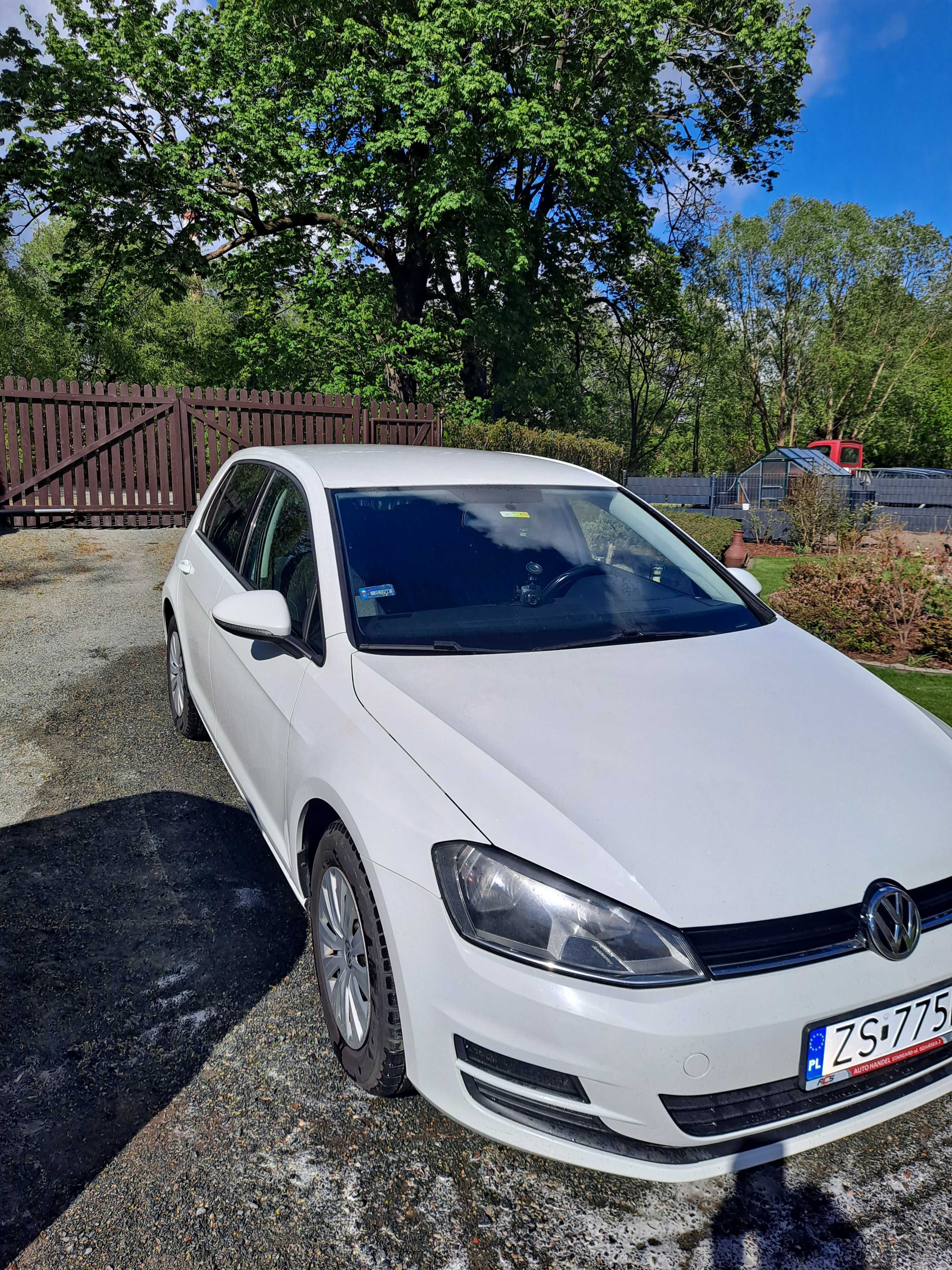 Bardzo zadbany  Golf VII