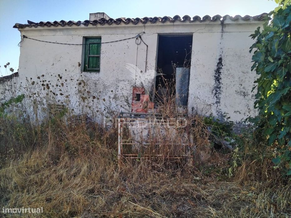 Quinta