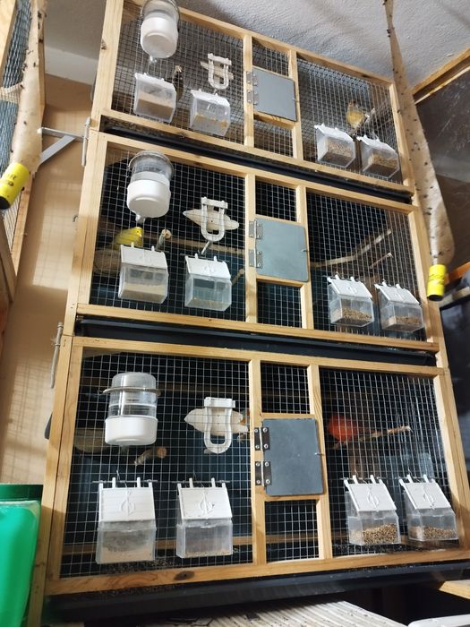 Conjunto de 3 gaiolas