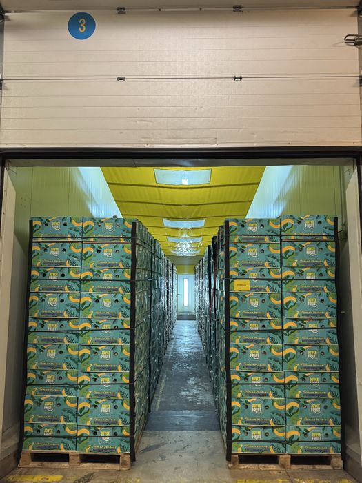 Banany usługa dojrzewania