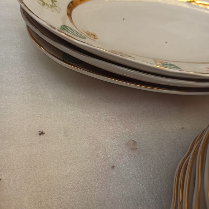 Обеденный сервиз Коростень