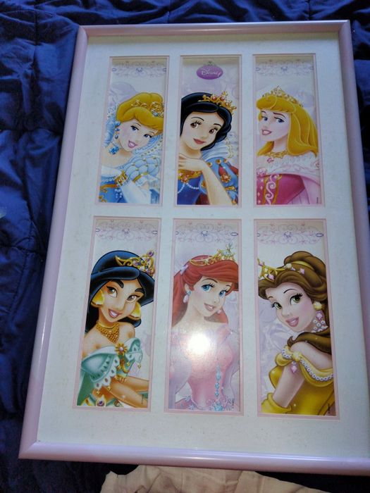Quadro das Princesas Disney 73x50cm