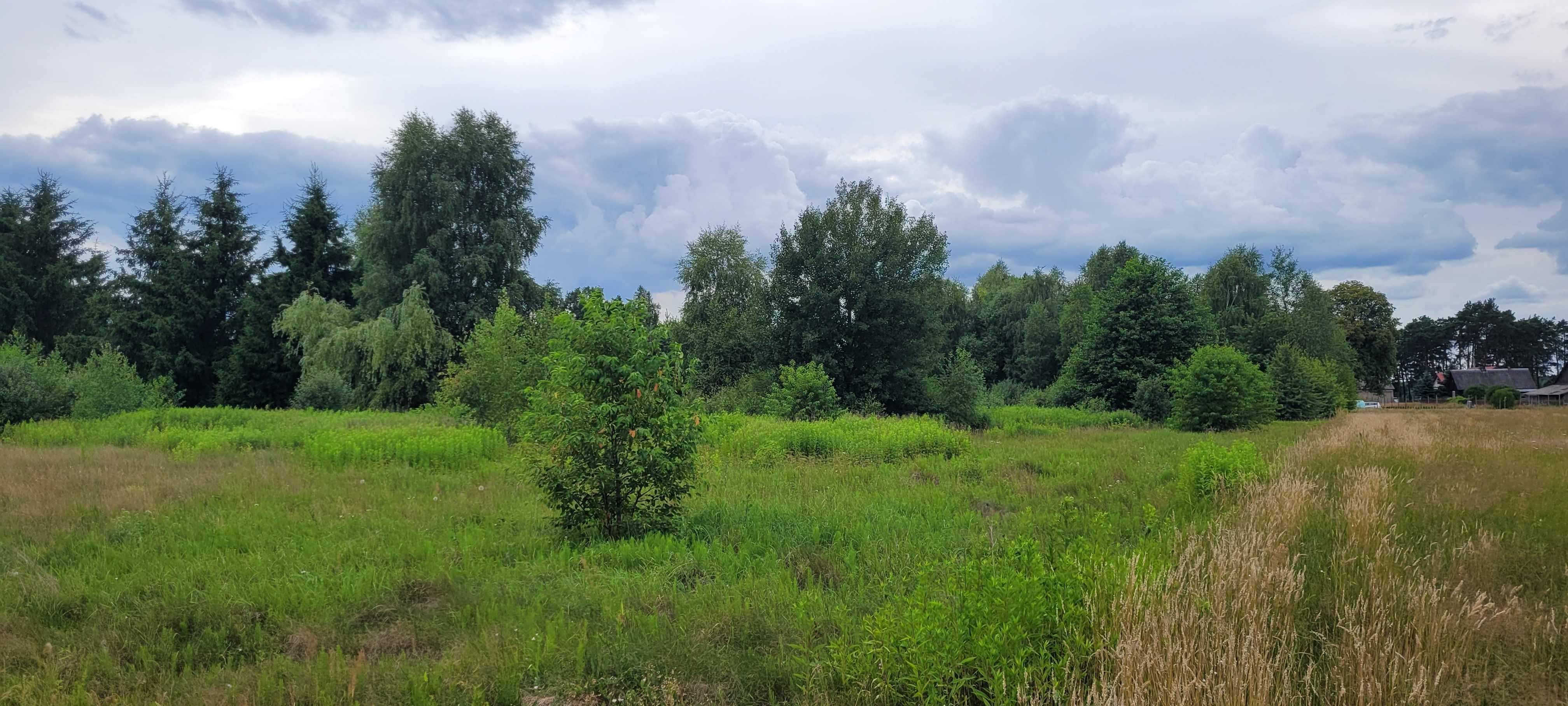 Działka na sprzedaż 4500 m2 Bezpośrednio. Blisko Warszawy